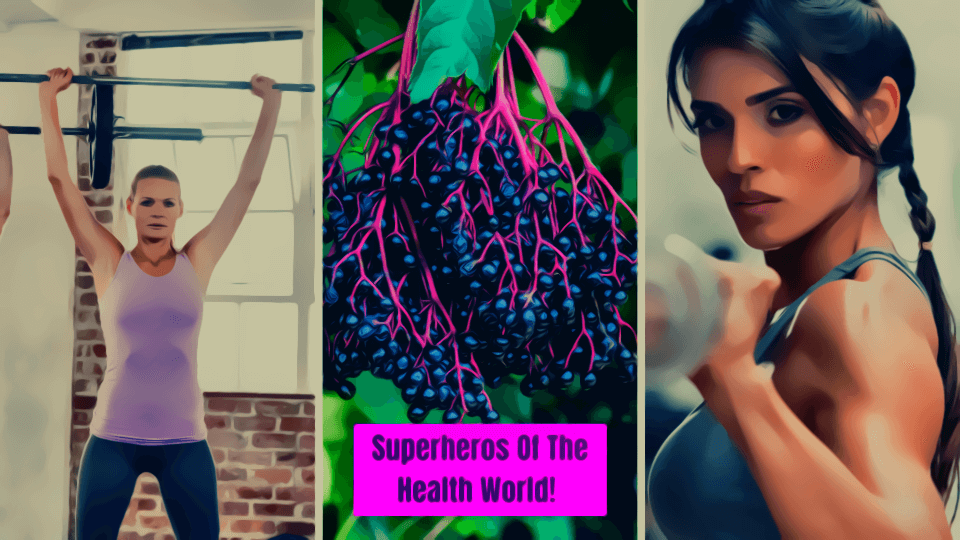 Revealed: The Amazing Elderberry Supplement Benefits You Need to Know About